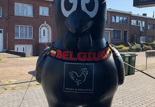Compre grandes mascotes infláveis ​​de frango preto Poule e Poulette. Obtenha sua publicidade online agora na JB Insuflaveis Portugal