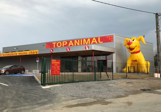 Pedido Mega Top Animal Cão Amarelo Mascote. Compre promoções promocionais online na JB Insuflaveis Portugal